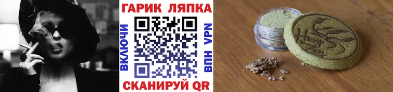 закладка  Сураж  Гашиш индика сатива 