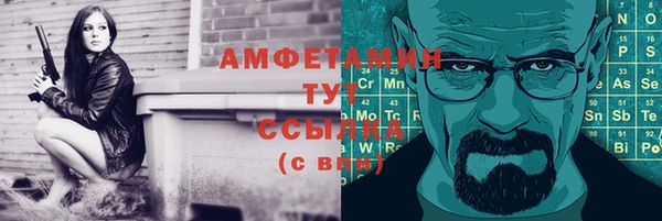 СК Алексин