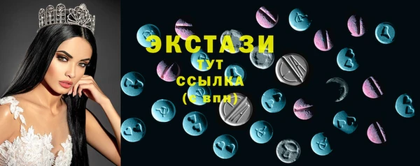 СК Алексин