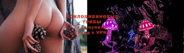 СК Алексин