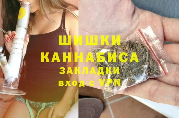 СК Алексин