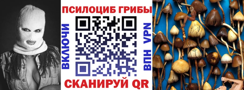 Псилоцибиновые грибы Cubensis  Сураж 